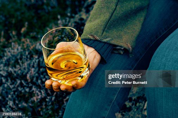scotch whisky, grampian highlands, scotland - whisky stock pictures, royalty-free photos & images