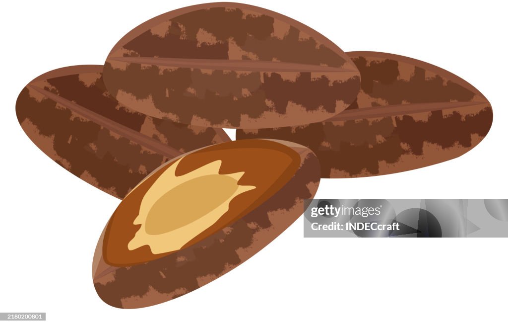 Brazil nut