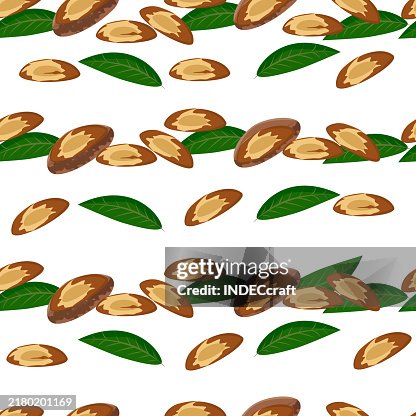 Brazil nut seamless pattern Brazil nut seamless pattern