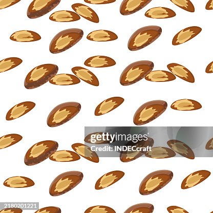 Brazil nut seamless pattern Brazil nut seamless pattern