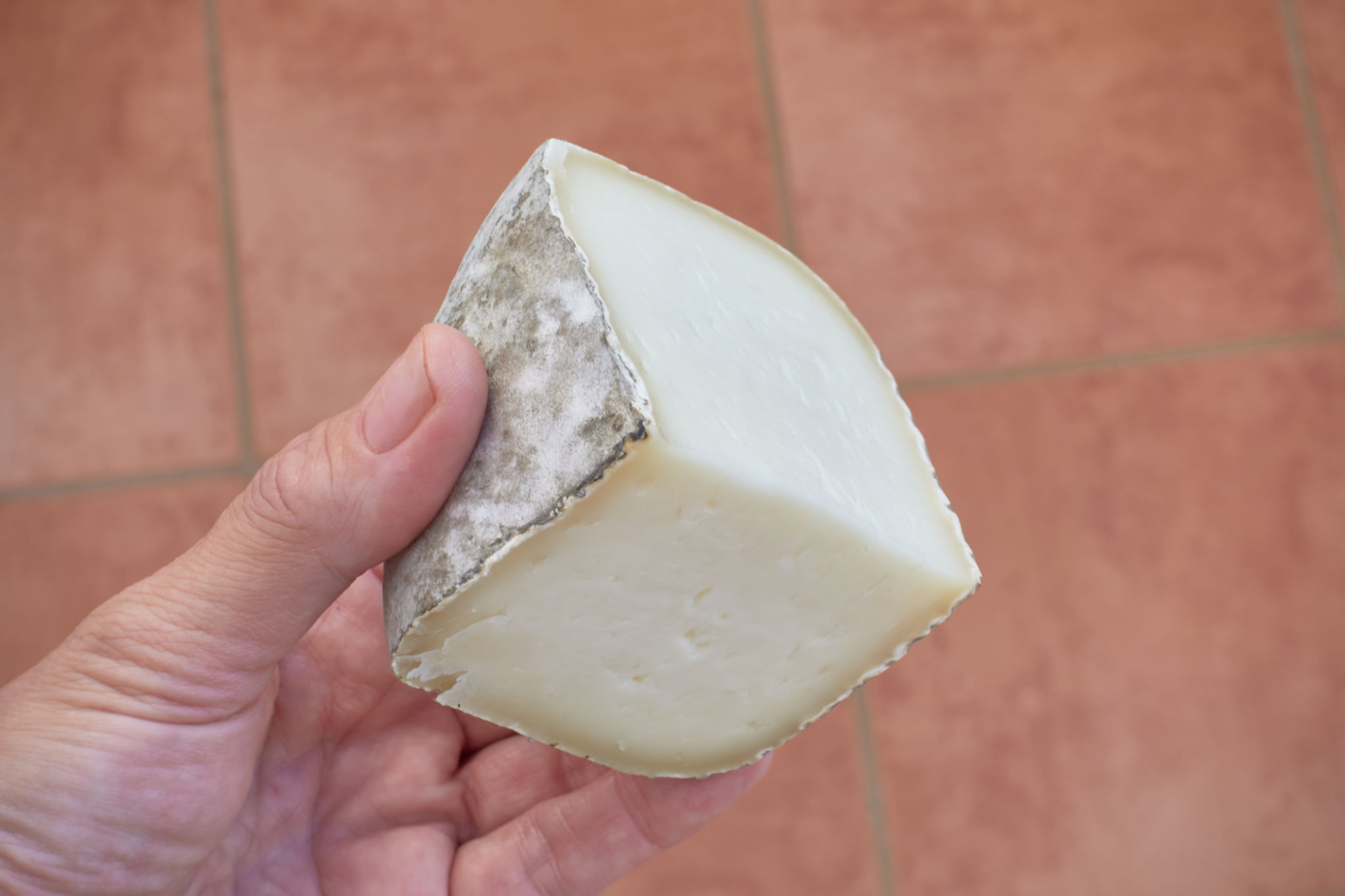 semi hard cheese