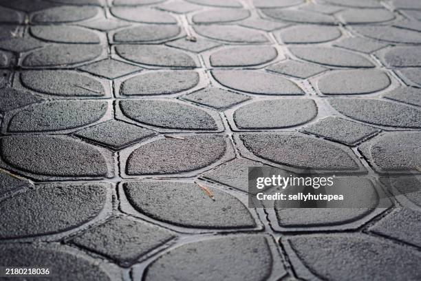 Barrier Pattern Texture 3,870 Concrete Barrier Paver Stock Photos, High-Res Pictures, and ...