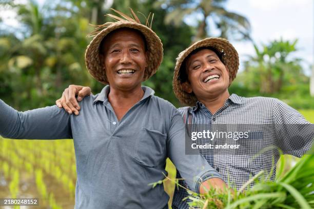 happy farmers working together at a rice plantation - indonesian culture stock pictures, royalty-free photos & images