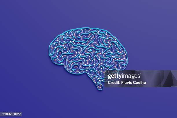 brain neural labyrinth - neurotransmissor imagens e fotografias de stock