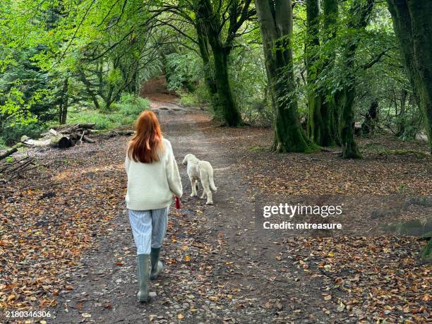 Spinone Italiano Pants Spinone Italiano Pants