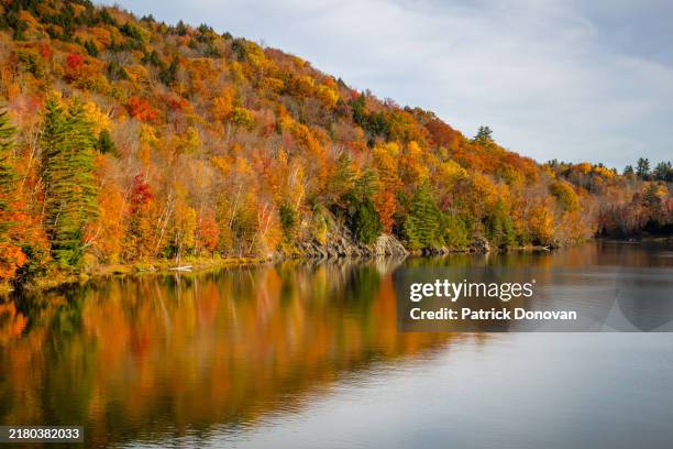 little river state park, waterbury, vermont - waterbury stock pictures, royalty-free photos & images