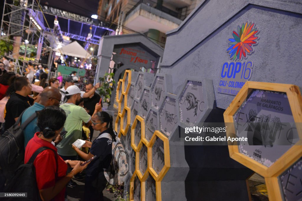 COP16: Peace With Nature - Day 2