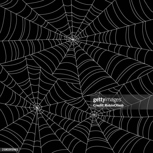 spiderweb background - spider web stock illustrations
