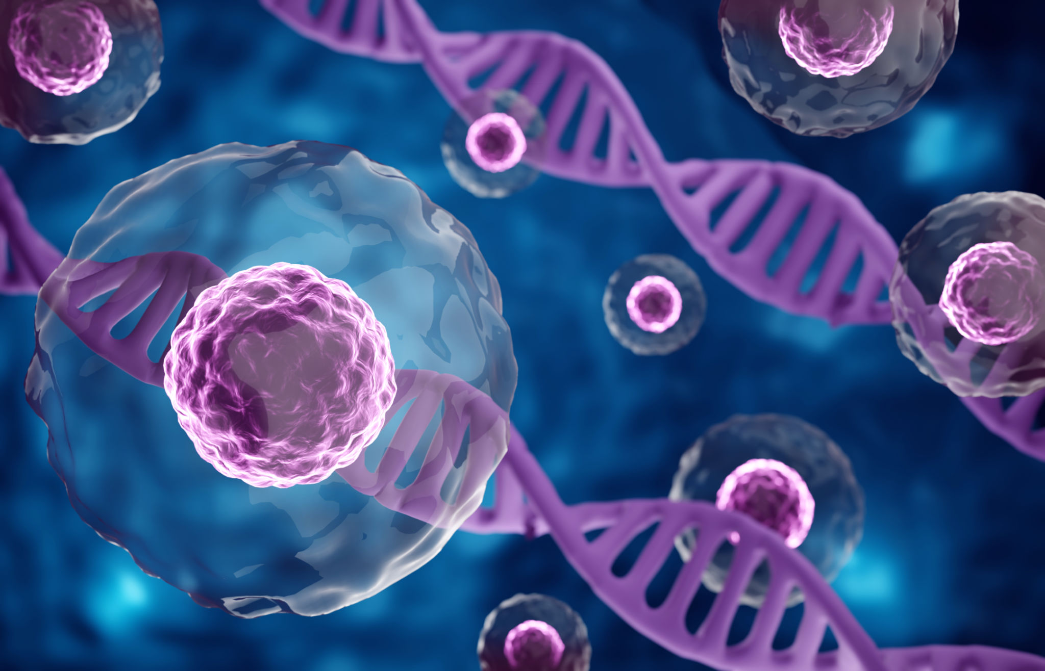 biology cells
