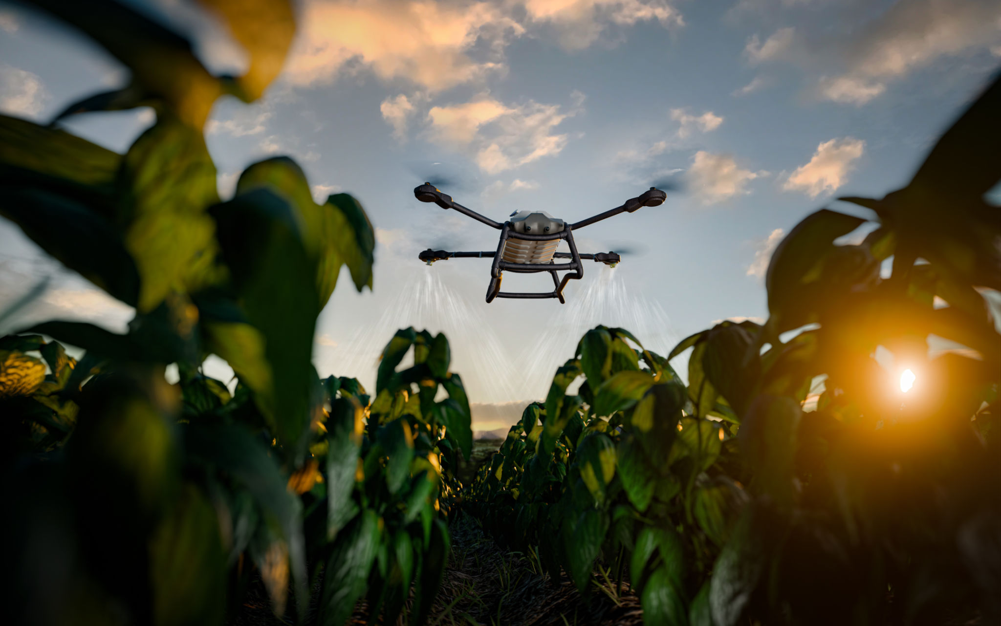 environmental drones