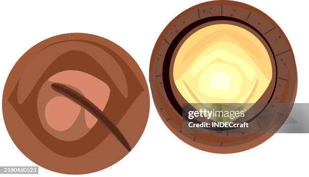 macadamia nut - macadamia nut stock illustrations