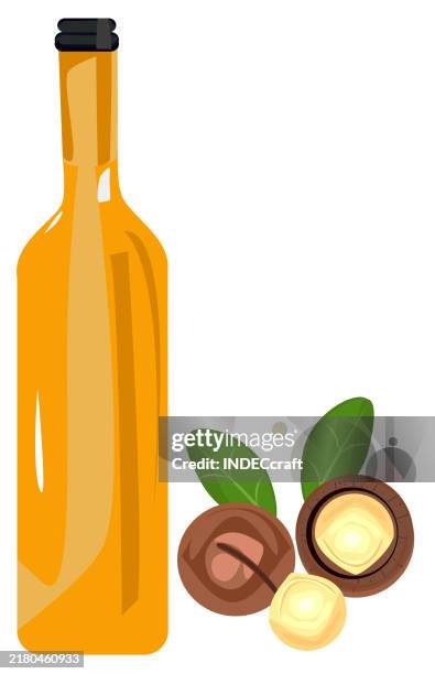 macadamia nut oil - macadamia nut stock illustrations