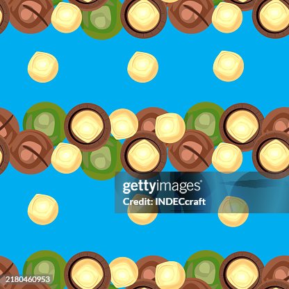 Macadamia nut seamless pattern Macadamia nut seamless pattern