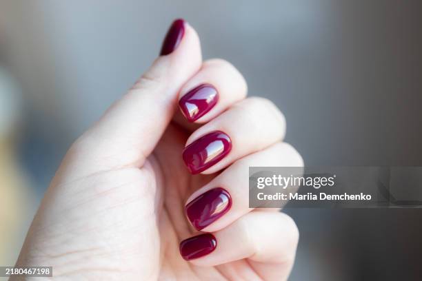 hand with burgundy gel fingernails - lackierte-fingernägel-finger stock-fotos und bilder