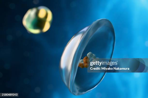 autophagy scene. autophagosomes break down intracellular waste. - lysosome stock pictures, royalty-free photos & images