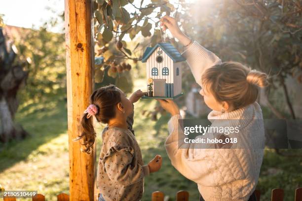 kleines mädchen füttert vögel mit ihrer mutter - vogelhaus stock-fotos und bilder