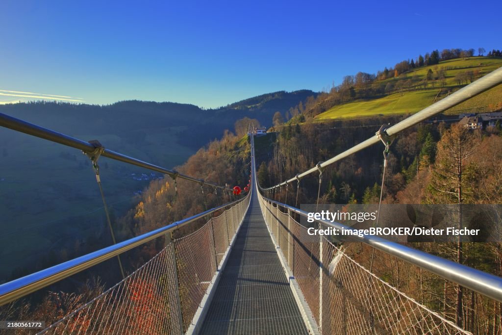 A bridge spans a valley with meadows and wooded hills, Black Forest Line, suspension bridge, Todtnau, Baden- Württemberg, Germany, Europe