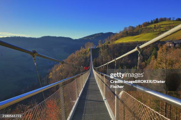 a bridge spans a valley with meadows and wooded hills, black forest line, suspension bridge, todtnau, baden- württemberg, germany, europe - hanging bridge stock illustrations