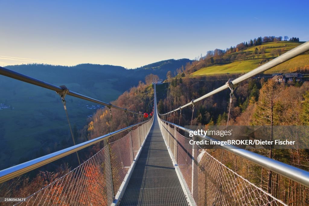 A suspension bridge leads over autumnal landscapes with hills in the background, Black Forest Line, suspension bridge, Todtnau, Baden- Württemberg, Germany, Europe