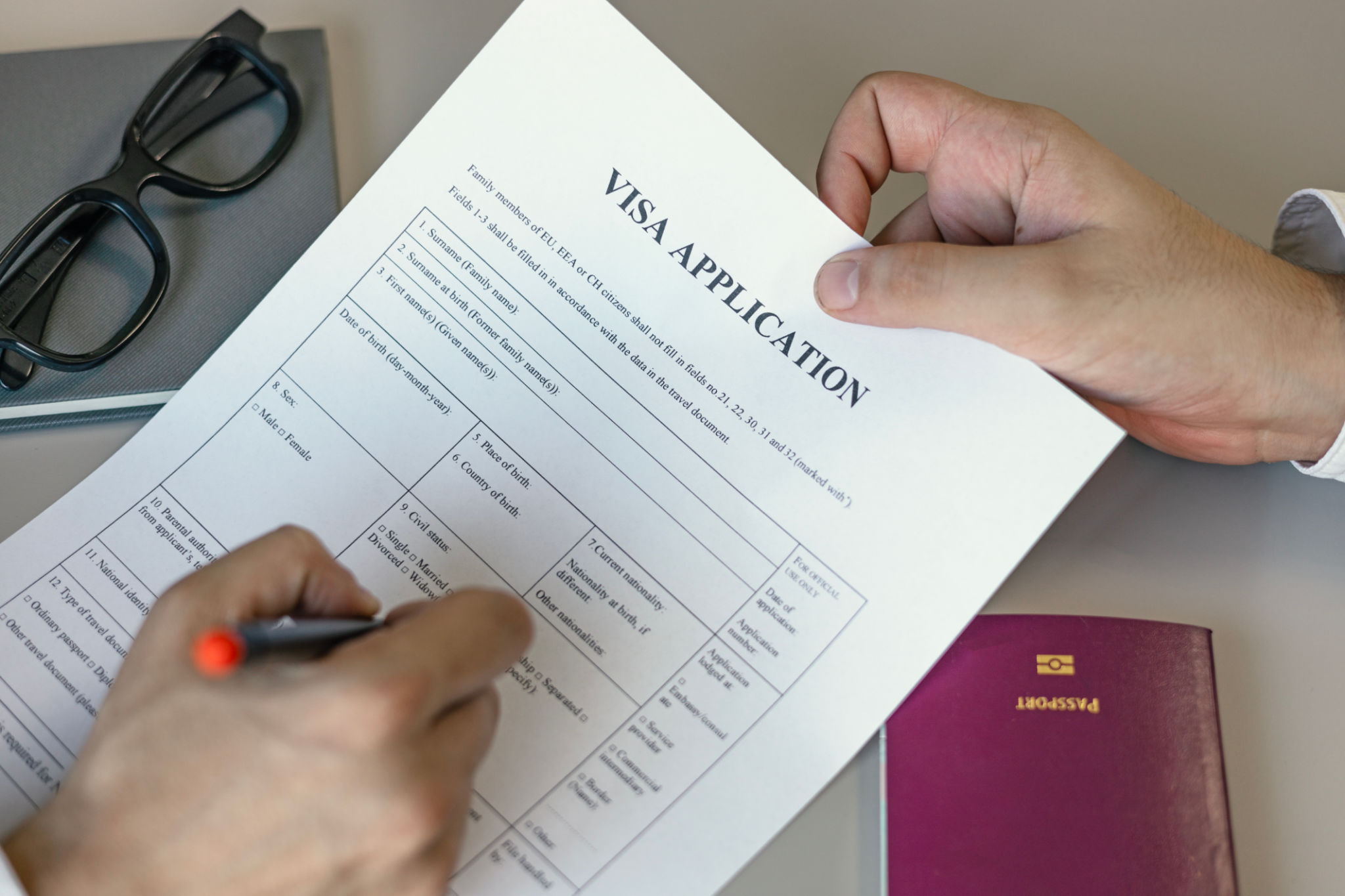 visa application help
