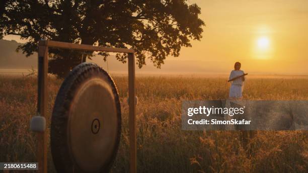 sunset serenade with gong and woman in meadow - harmony stock pictures, royalty-free photos & images