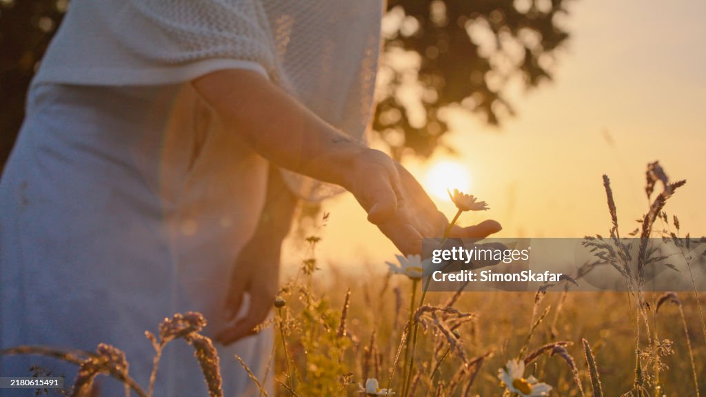 Momento sereno al aire libre con mujer caucásica y flores silvestres al atardecer