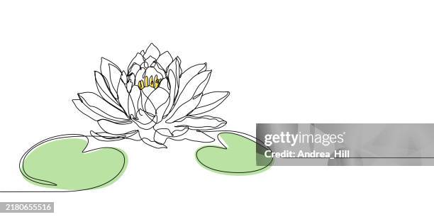 lotus flower and water lily pads continuous line drawing style with copy space and an editable stroke - lotus flower outline stock illustrations