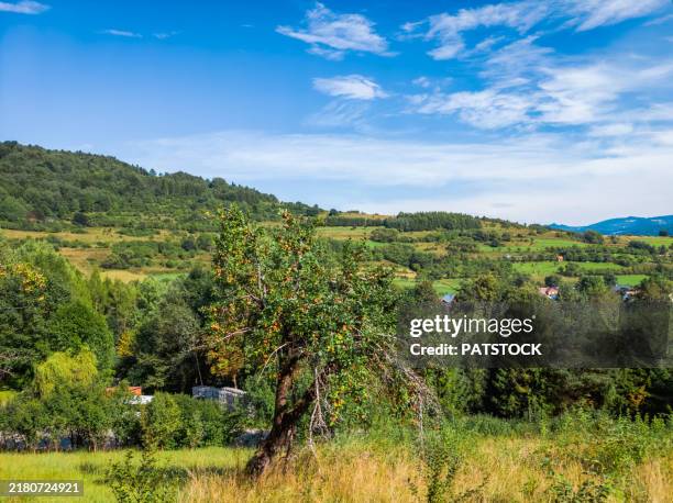 Api Palervalli 67 Apple Valley Farm Stock Photos, High-Res Pictures, and Images ...