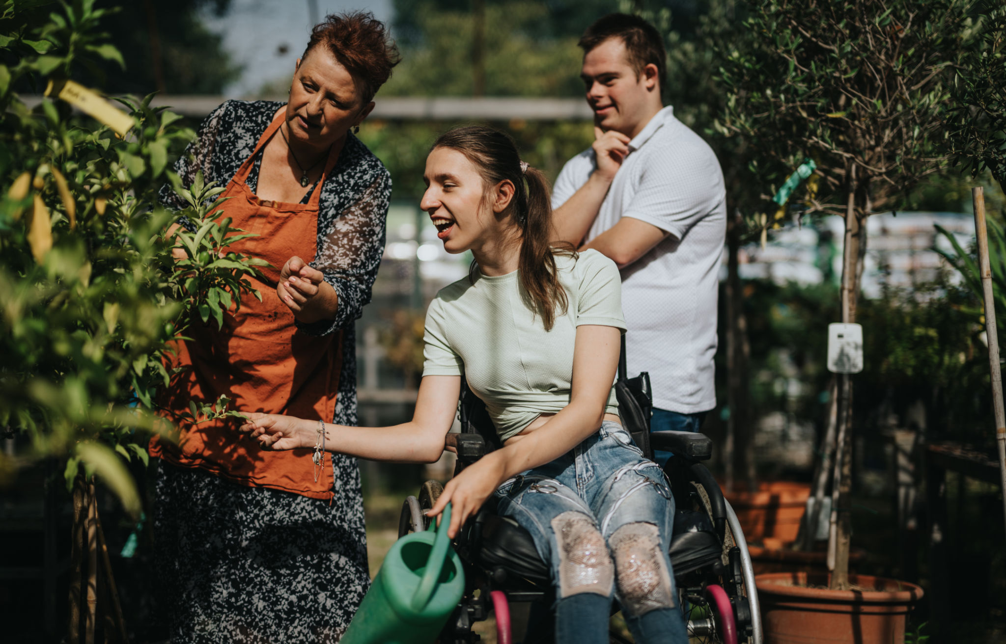 accessible garden