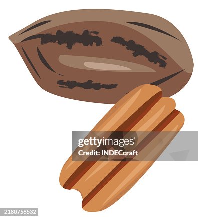 Pecan nut Pecan nut