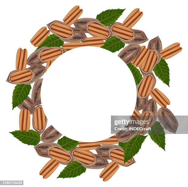 pecan nut - pecans isolated stock illustrations