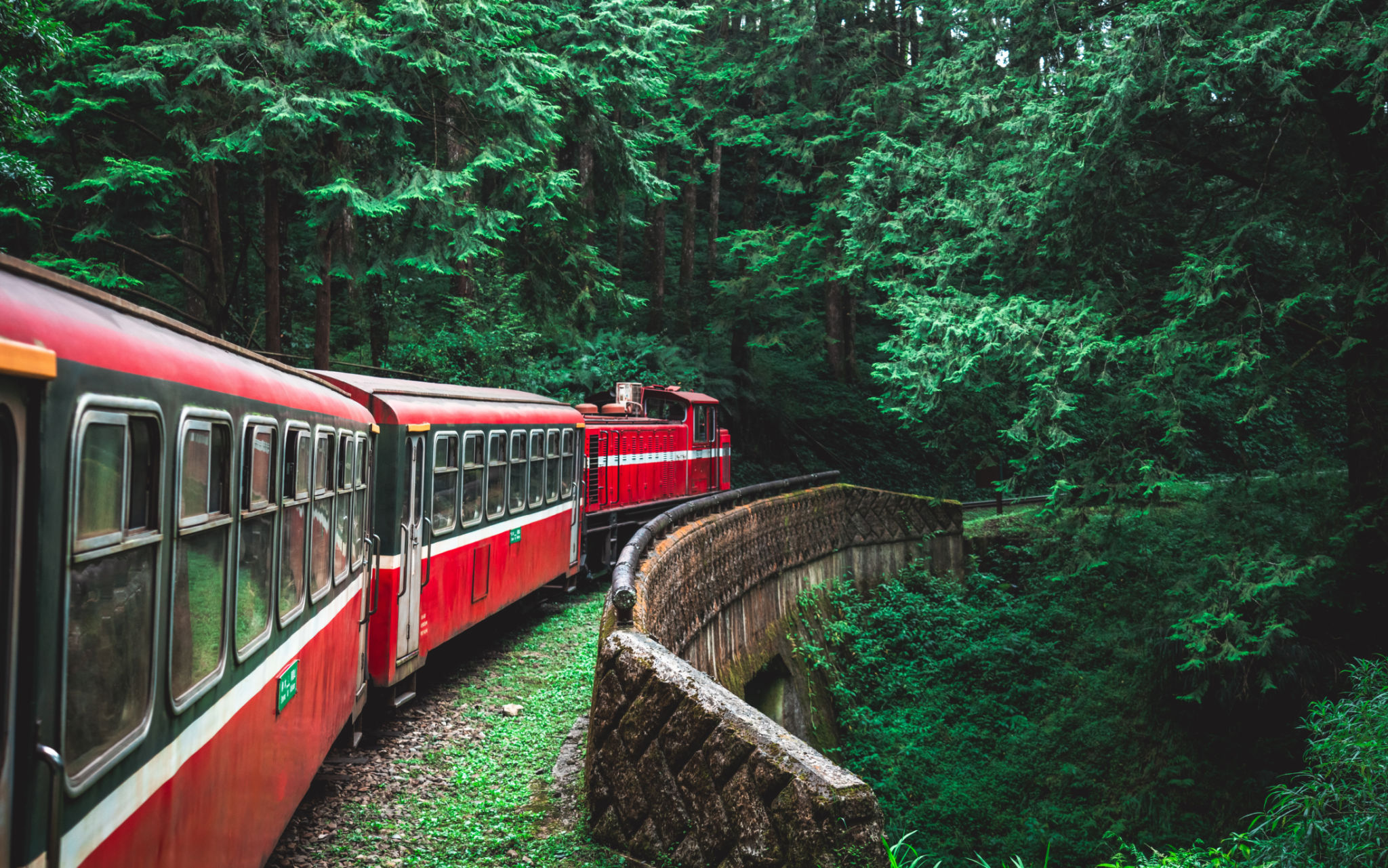 Train ride in green forest at Alishan National Park, Taiwan Train ride in green forest at Alishan National Park, Taiwan