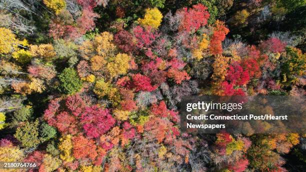 Aerial photos of colorful fall foliage in Cromwell on Sunday, Oct. 24, 2021.