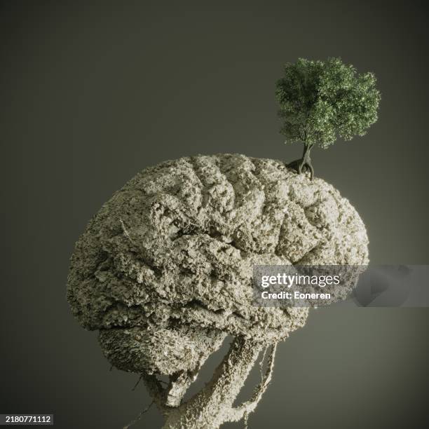 Seven Brain Rocks 1,176 Brain Rock Stock Photos, High-Res Pictures, and Images - Getty Images