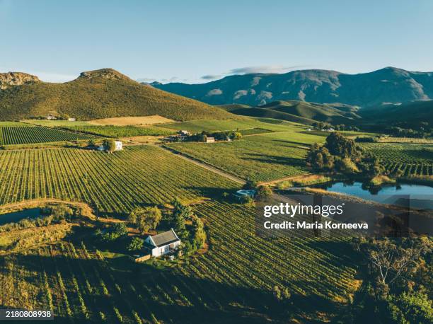 robertson vineyards at sunset, south africa. - vineyard stock pictures, royalty-free photos & images