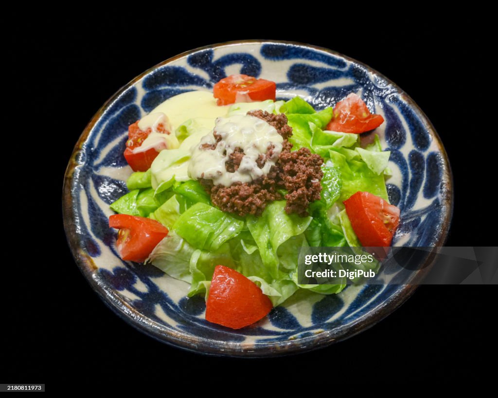 Okinawan Taco Rice Food Model