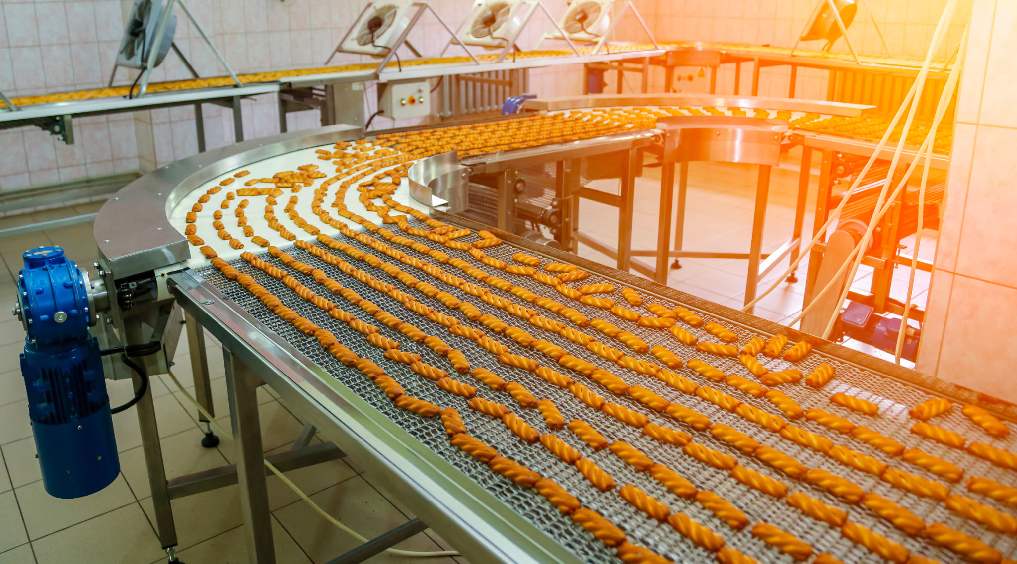 food manufacturing