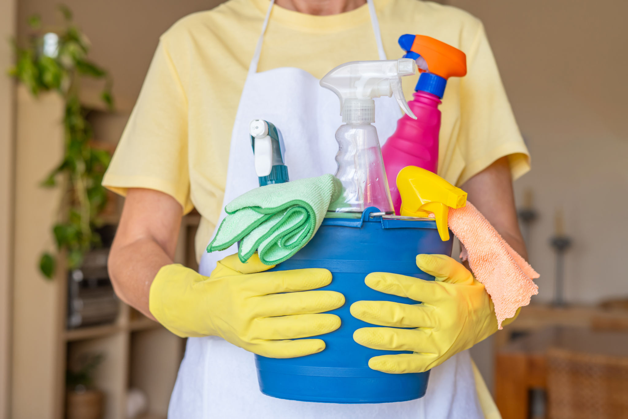 local home sanitation