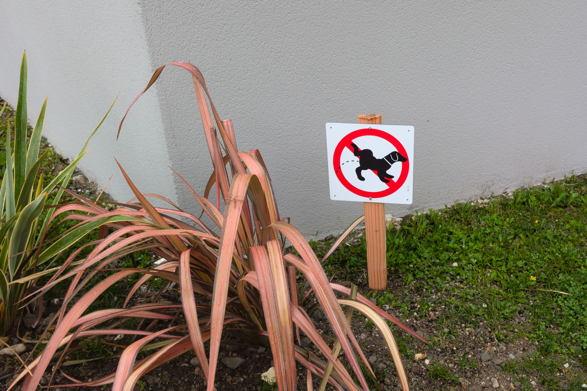 bathroom permits