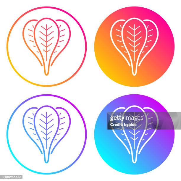 spinach. round icons with color gradients - spinach stock illustrations