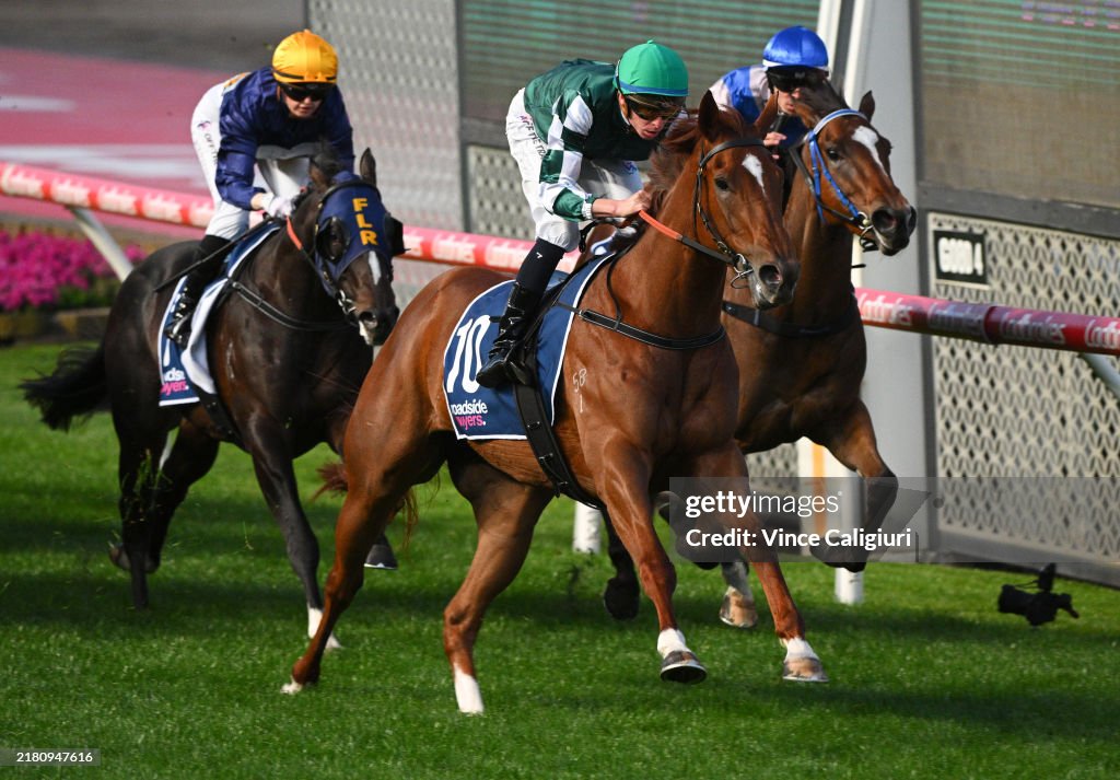 Melbourne Racing: Gold Cup Night