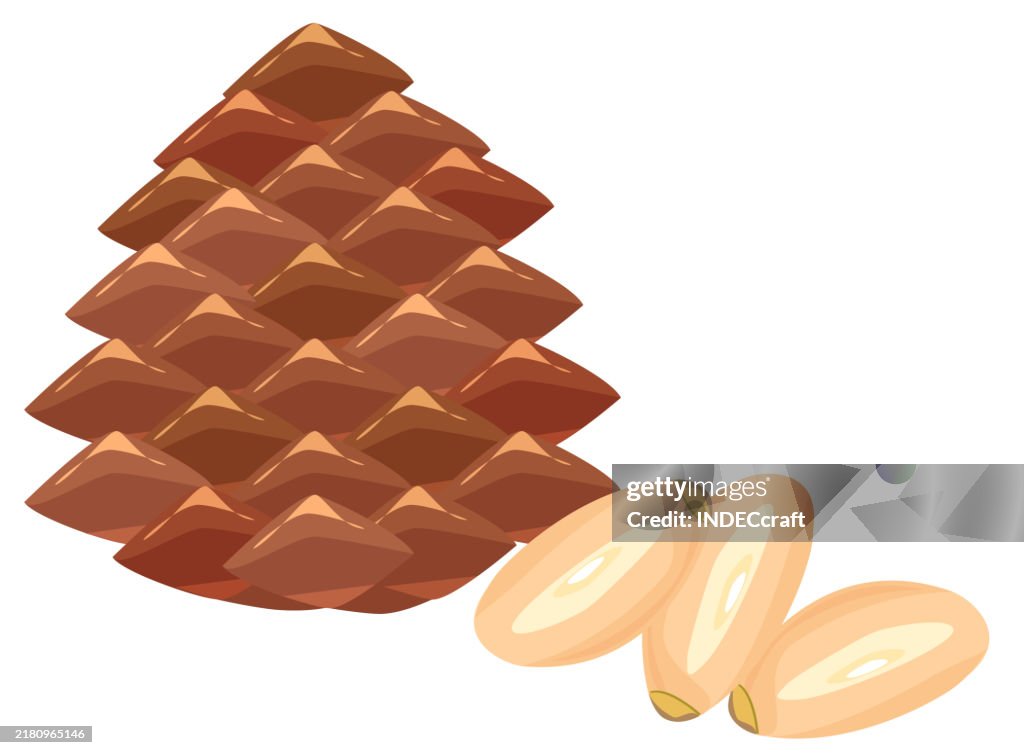 Pine nut