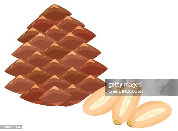 Pine Nut High-Res Vector Graphic