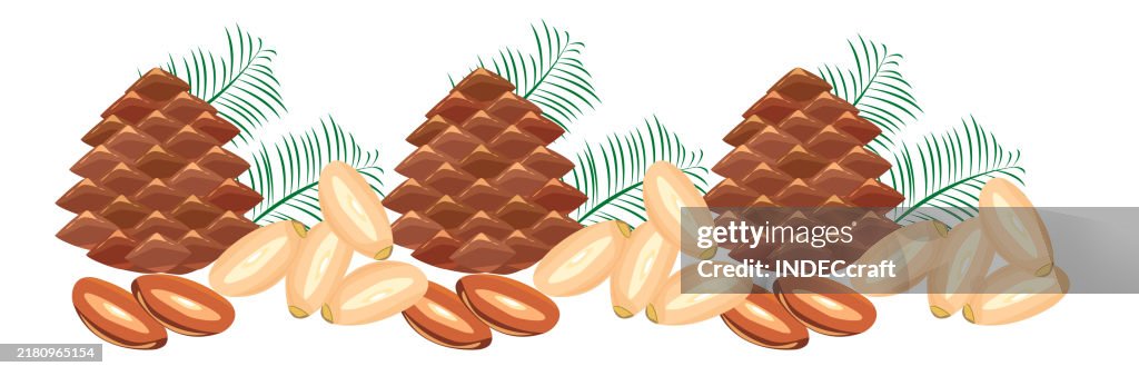Pine nut