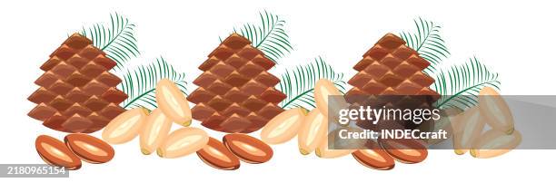pine nut - pine tree close up stock illustrations