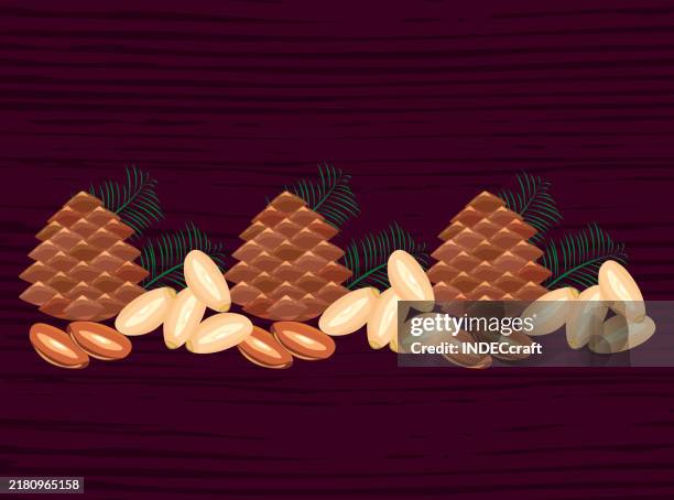 pine nut - roasted pine nuts stock illustrations