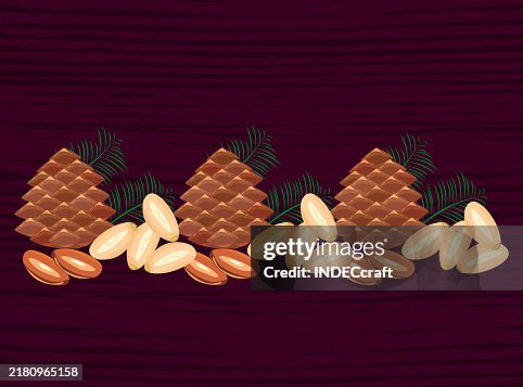 Pine nut Pine nut