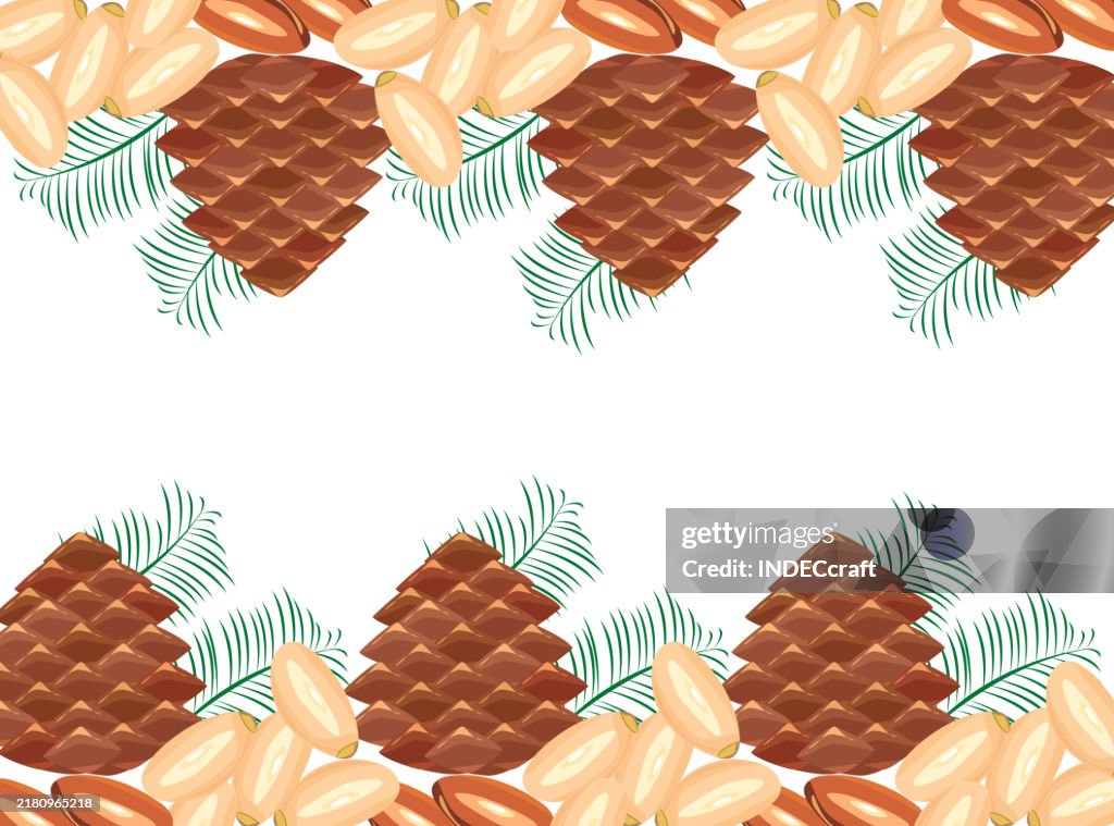 Pine nut