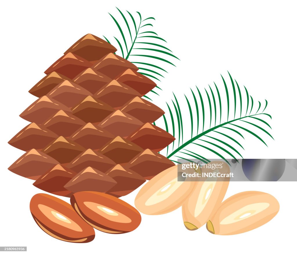 Pine nut