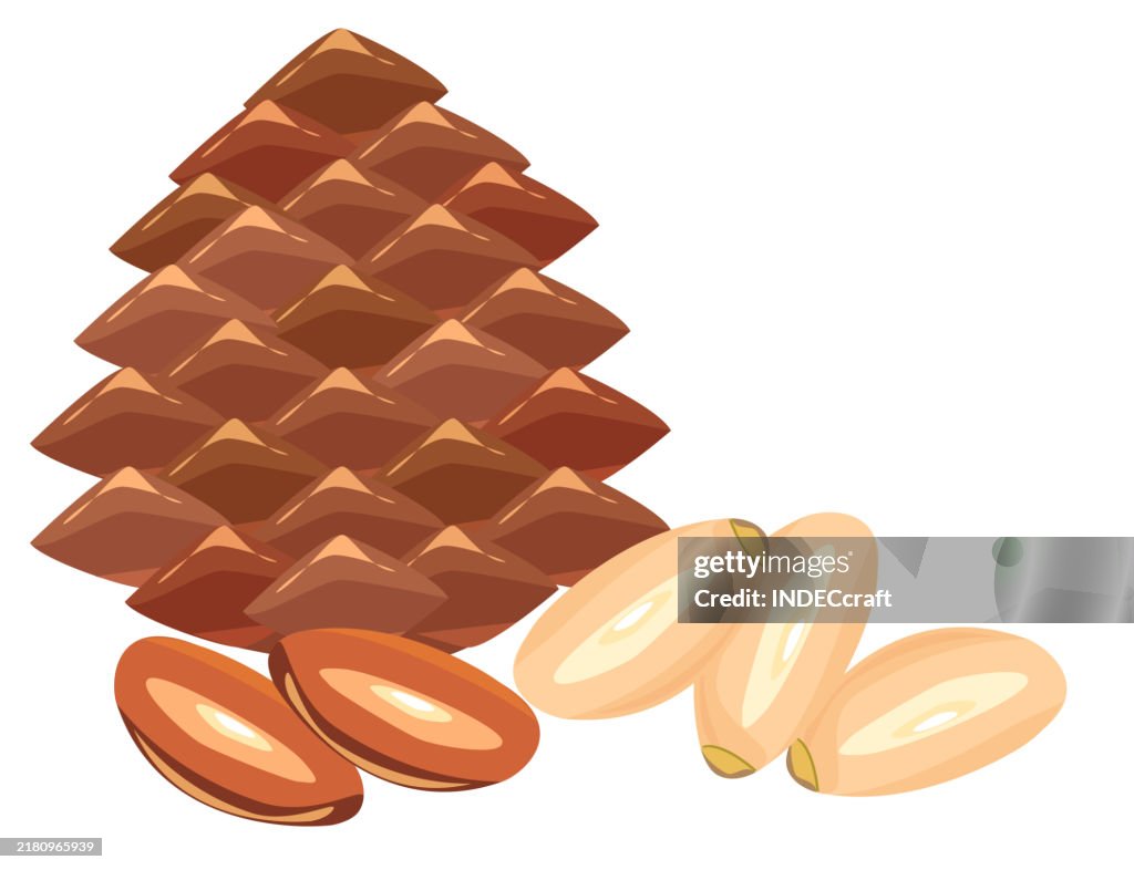 Pine nut